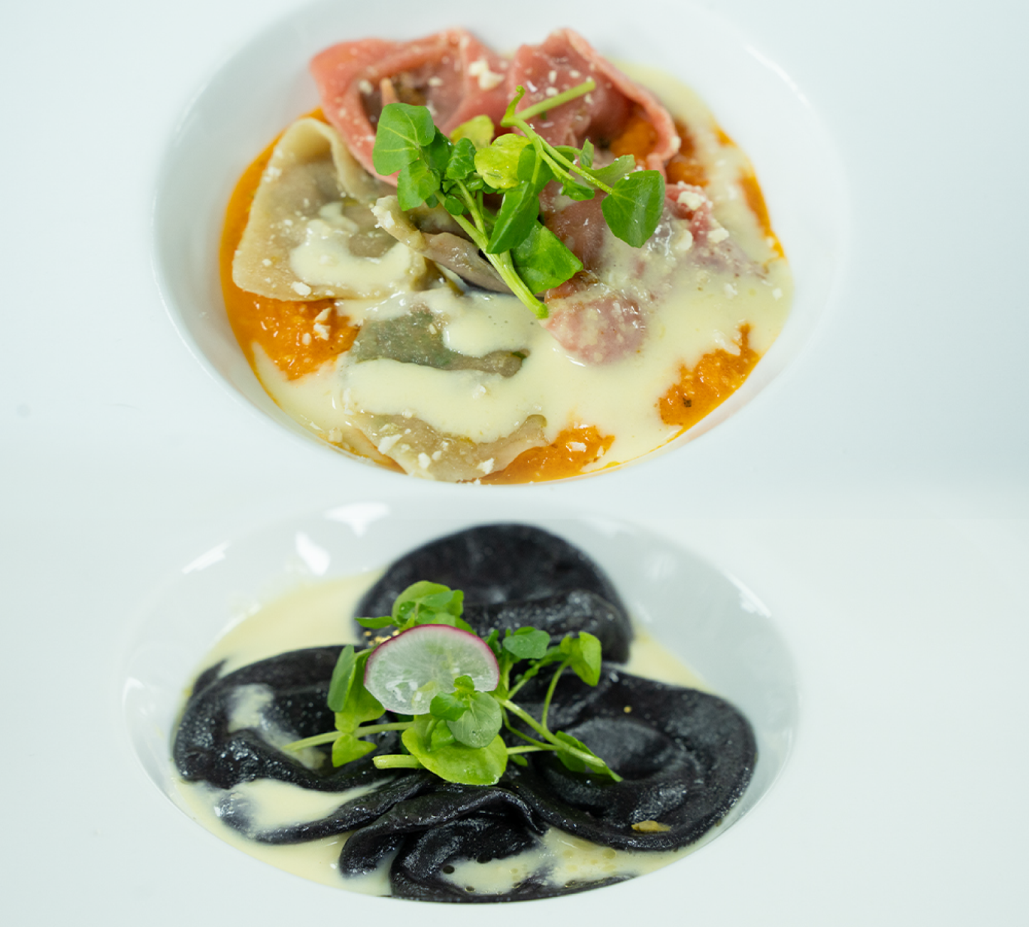 Clases de Pastas plant based avanzada