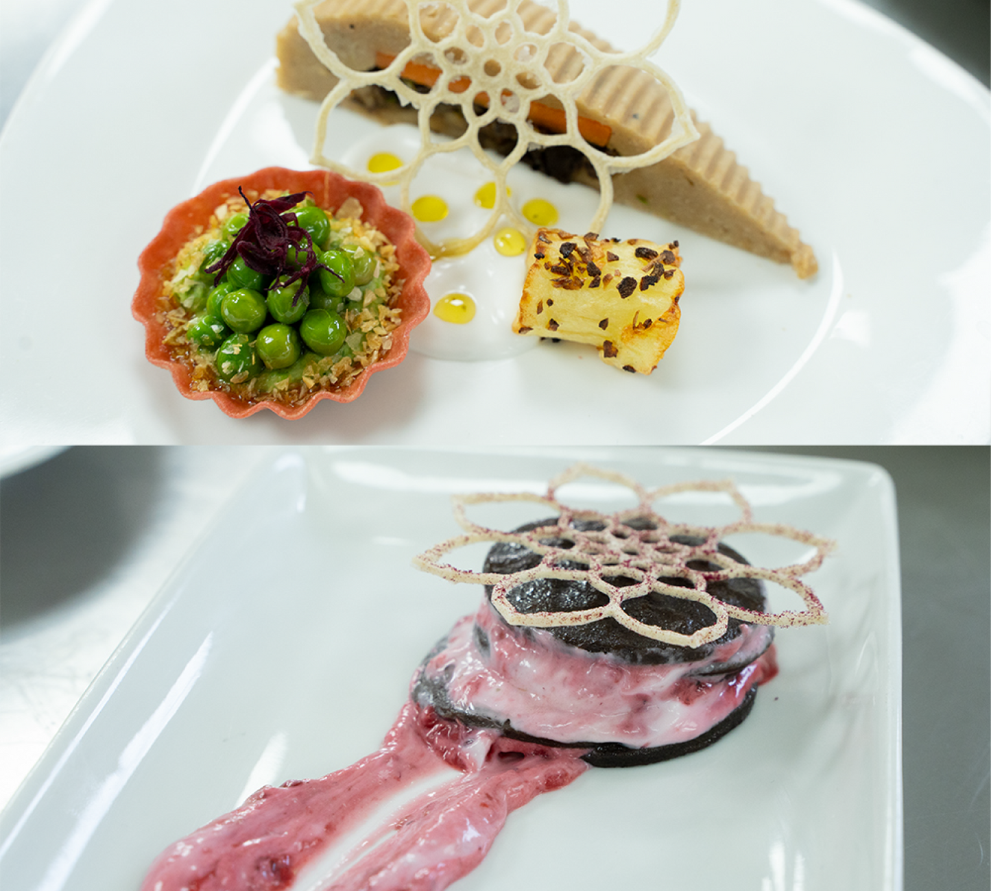 Clases de Postres de vanguardia plant based